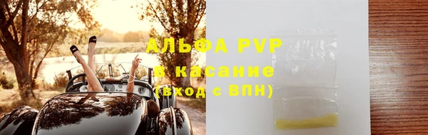 сатива Белокуриха