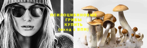 гидропоника Баксан