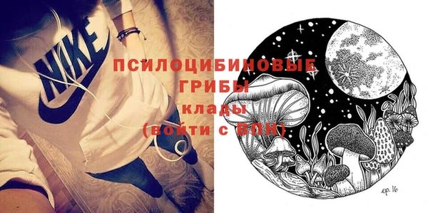 сатива Белокуриха