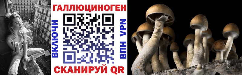 Купить закладки  Лыткарино  Галлюциногенные грибы Psilocybine cubensis 